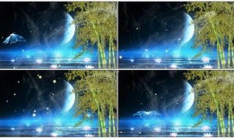 月光爆料最新视频下载网站,最新视频下载网站大起底