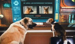 猫狗大战在线观看国语,一场爆笑宠物间的欢乐对决