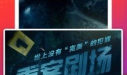 毒硬币今日爆料视频下载,下载视频背后的惊人真相