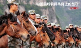 骑兵在线区在线观看,畅游虚拟战场，体验极致竞技盛宴