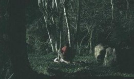 东莞枯树爆料事件始末视频,真相与争议的交织