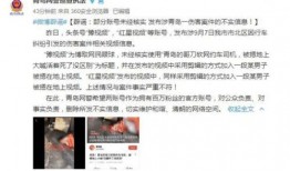 热门爆料打假事件视频,真相与谣言的较量