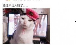 笑笑吃瓜小说免费阅读,免费畅读笑笑吃瓜小说