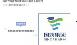 国药控股爆料最新消息,揭秘疫苗研发进展与市场动态