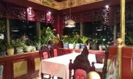 中餐馆 在线观看,在线探索中餐馆美食之旅
