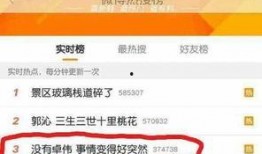 卓伟爆料小薇视频,小薇视频事件真相揭秘