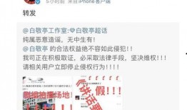 热门爆料打假事件视频,真相与谣言的较量