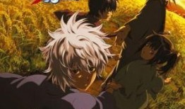 银魂完整版在线观看,笑傲江湖，守护正义的武士传奇