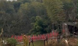 花溪新闻爆料最新消息网,最新动态速览，热点事件追踪