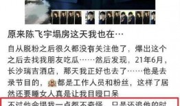 谁爆料陈飞宇的视频了,神秘爆料者身份引热议