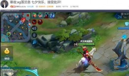 王者爆料猫神视频大全,揭秘猫神视频大全中的精彩瞬间