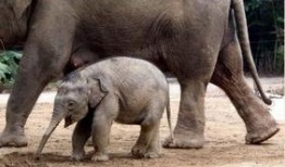 南阳大象新闻爆料热线,倾听民声，守护正义