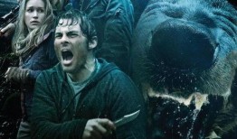 嗜血灰熊在线观看,惊心动魄的生存较量