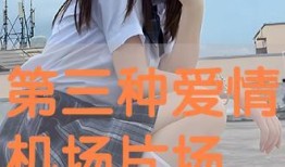 第三种爱情完整版在线观看,跨越时空的深情邂逅，在线观看重温经典爱情故事