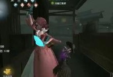 白鸟白枭早期爆料视频播放