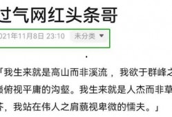 爆料官方解说文案大全最新,最新爆料背后的精彩故事