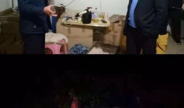 古董商日服爆料视频,珍贵古董背后的故事与价值