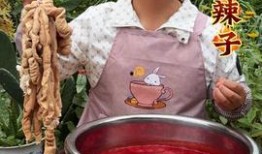 硬哥美食爆料视频,揭秘热门美食背后的故事与风味