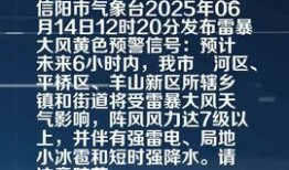 信阳今日头条火爆爆料,揭秘火爆事件背后真相