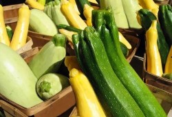 吃瓜娱乐营养,营养生活新风尚