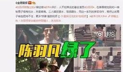 四婶被捉爆料视频是真的吗,四婶被捉爆料视频真实性揭秘