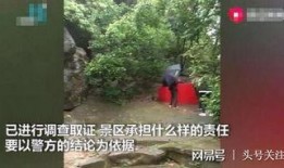 东莞枯树爆料事件始末视频,真相与争议的交织