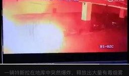 网友爆料特斯拉视频下载,网友爆料揭示神秘内幕