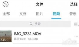 怎么获取爆料视频链接信息,轻松获取爆料视频链接的独家技巧