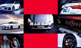 影豹爆料视频播放,揭秘爆料视频中的精彩瞬间