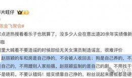 刘亦菲干妈爆料视频,独家爆料背后的感人故事