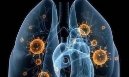 新真骨雕爆料视频大全集,揭秘匠心独运的艺术魅力