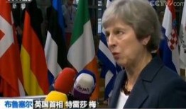 欧盟官员爆料新闻事件是真的吗,新闻事件真实性引发热议