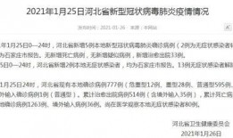 河北爆料最新消息今天新增病例,今日新增病例详情揭晓