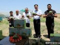 沉迷吃瓜的小帅帅小说免费阅读,一场吃瓜成瘾的奇幻之旅