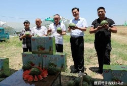 沉迷吃瓜的小帅帅小说免费阅读,一场吃瓜成瘾的奇幻之旅