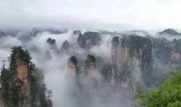 张家界导游爆料新闻事件,揭秘景区背后的惊人真相