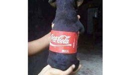 新闻哥被爆料欠钱不还怎么办,如何应对舆论压力与债务危机