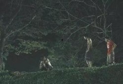东莞枯树爆料事件始末视频,真相与争议的交织