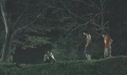 东莞枯树爆料事件始末视频,真相与争议的交织