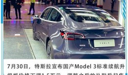 特斯拉高速爆料视频真实,揭秘未来智能驾驶技术新突破