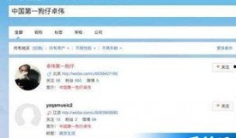 娱乐圈爆料被封号,揭秘网络言论自由的边界