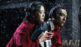 绣春刀 在线观看,暗夜江湖，刀光剑影的复仇传奇