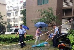 莆田跳楼最新爆料,最新爆料揭露惊人内幕”