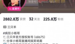 李想真实爆料视频播放大全,揭秘视频播放大全背后的故事