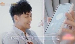 好友大爆料林志颖视频,好友大爆料背后的故事