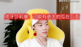 莎莉爆料找对象视频,揭秘视频中的理想伴侣标准