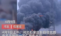 杭州工厂爆料视频曝光事件,揭秘背后真相
