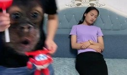 对口型爆料视频怎么做的,轻松掌握短视频创作秘诀