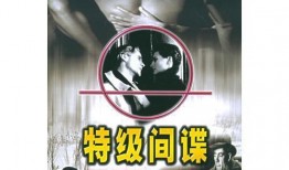 犯罪小说在线观看,网络迷踪下的犯罪悬疑之旅