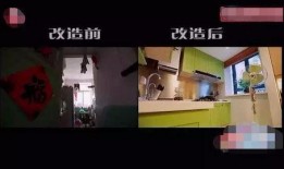 爆料树人改造视频播放,科技与自然的完美融合